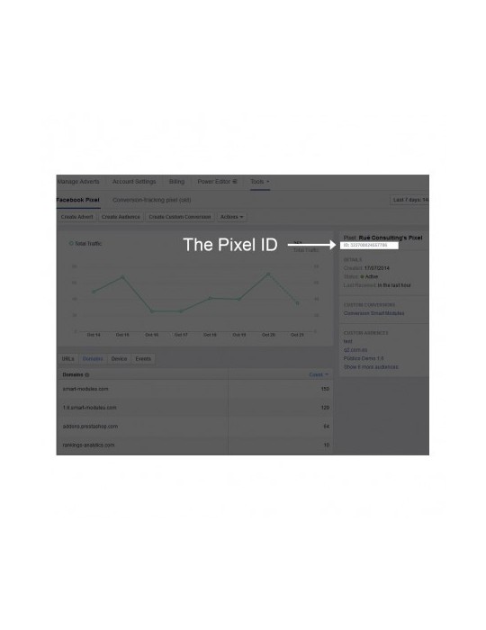 Pixel de Conversión + Públicos Personalizados